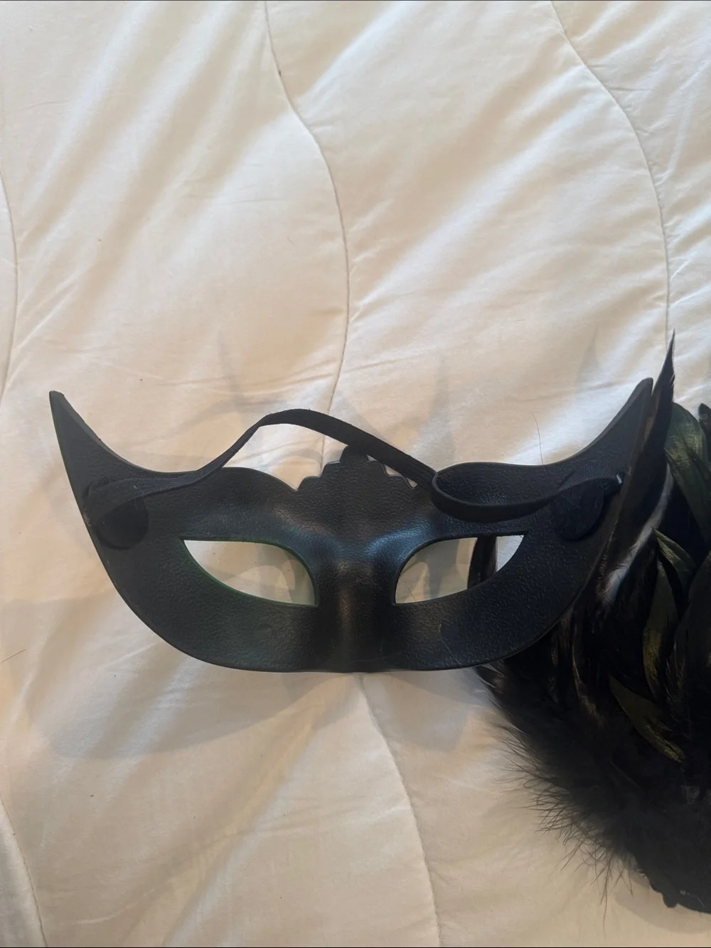 Mardi Gras NWOT green and black face mask